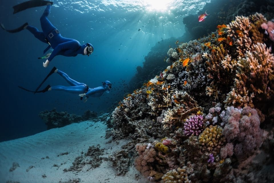 Intro Diving in Sharm El Sheikh Beaches