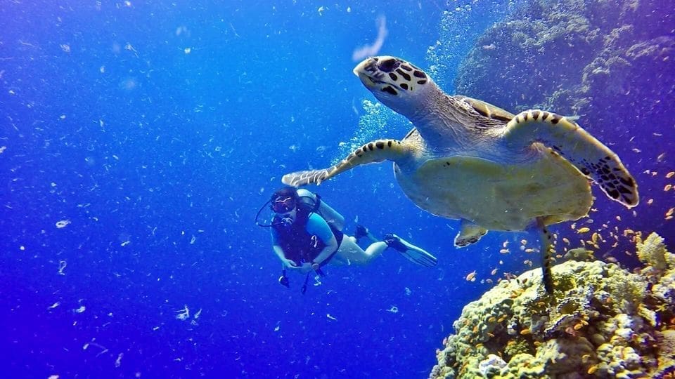 Intro Diving in Hurghada