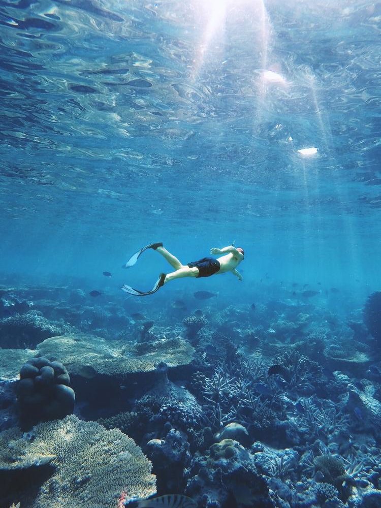 Diving in Marsa Alam.