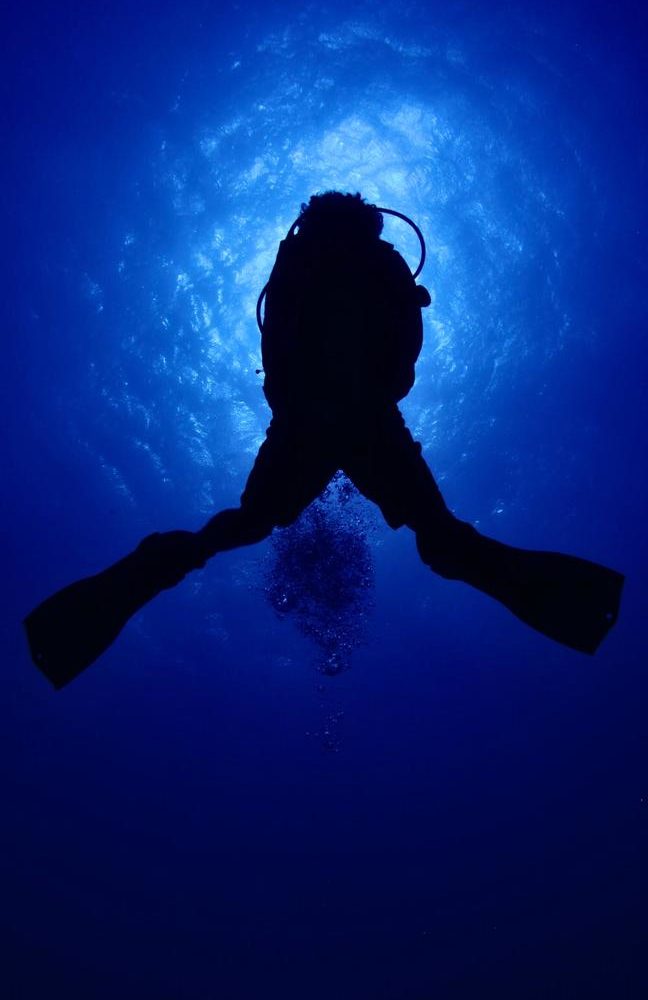 Diving in Marsa Alam.