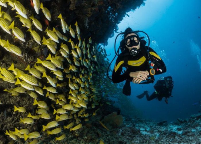 Diving in Marsa Alam.