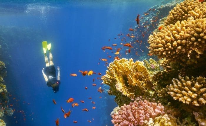 Trivaeg Snorkeling Trips, Wadi El Gemal Trips, Trivaeg Diving Trips, Trivaeg Marsa Alam Trips