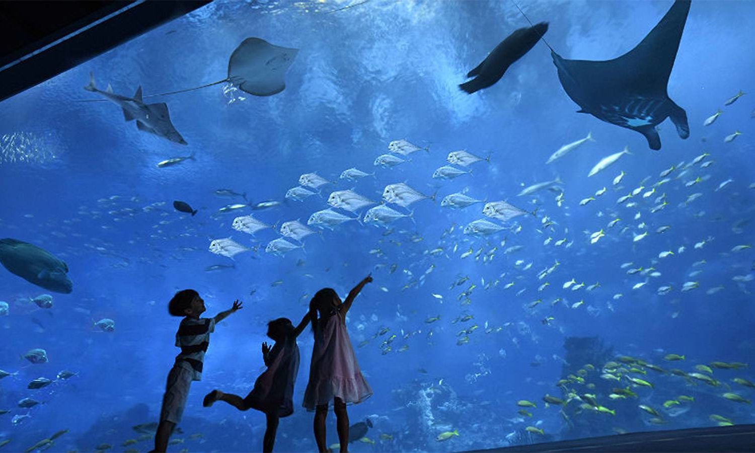 grand aquarium in Hurghada